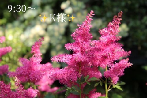 小山真帆 写メ日記 5/12(月) 20:12