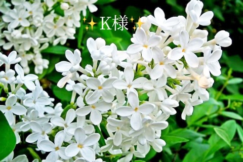 小山真帆 写メ日記 5/12(月) 21:36