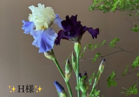 小山真帆 写メ日記 5/23(金) 19:04