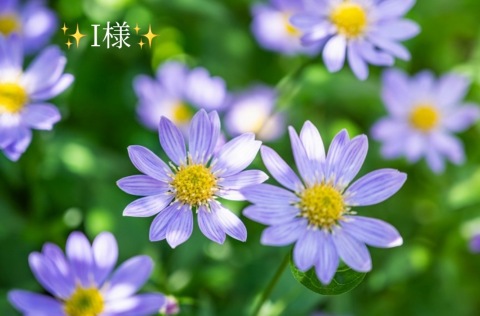 小山真帆 写メ日記 6/23(月) 21:16