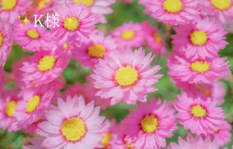 小山真帆 写メ日記 6/27(金) 16:00