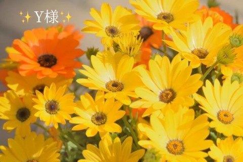 小山真帆 写メ日記 6/29(日) 15:24