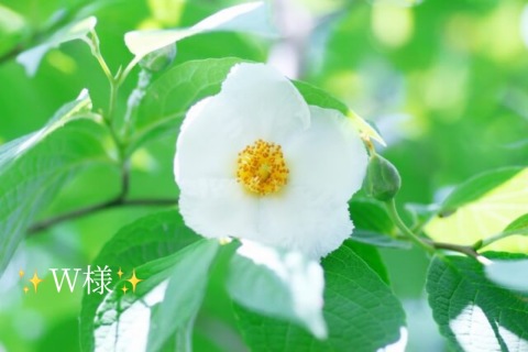 小山真帆 写メ日記 7/16(水) 01:58