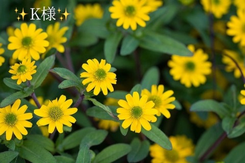 小山真帆 写メ日記 8/11(月) 19:40