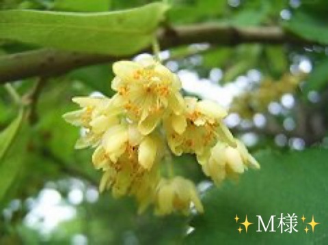 小山真帆 写メ日記 8/23(土) 21:20