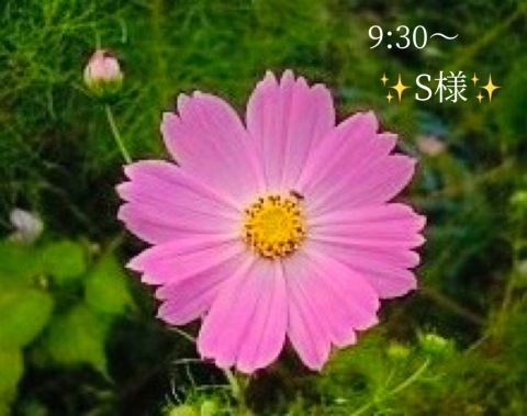 小山真帆 写メ日記 10/9(木) 18:14