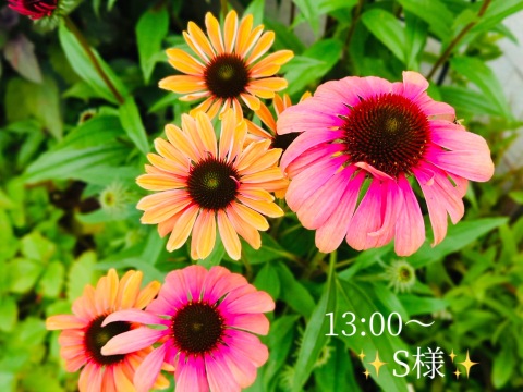 小山真帆 写メ日記 10/9(木) 22:52
