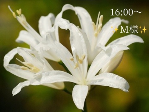 小山真帆 写メ日記 10/13(月) 19:04