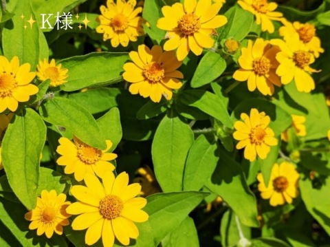 小山真帆 写メ日記 10/18(土) 21:30