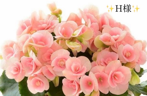 小山真帆 写メ日記 10/18(土) 22:04