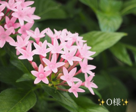 小山真帆 写メ日記 10/18(土) 22:12