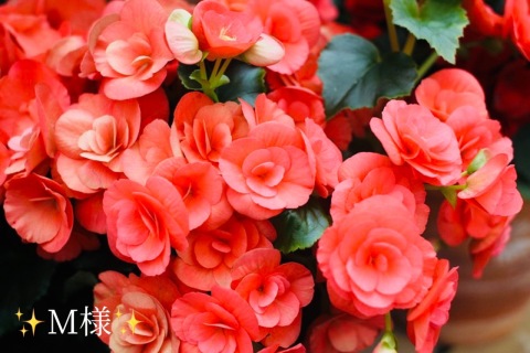 小山真帆 写メ日記 10/18(土) 22:54