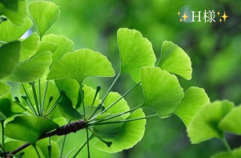 小山真帆 写メ日記 10/26(日) 22:30