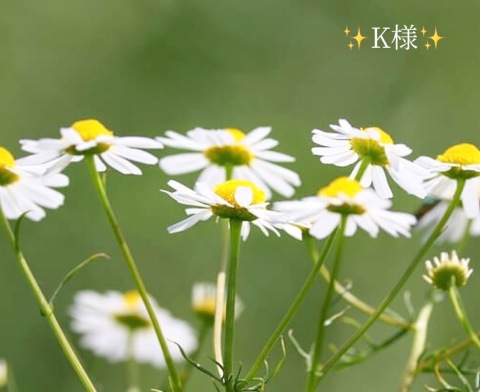 小山真帆 写メ日記 11/3(月) 21:46