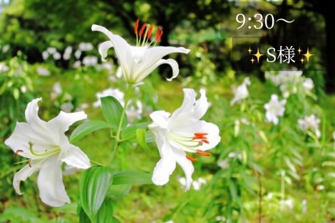 小山真帆 写メ日記 11/6(木) 18:26