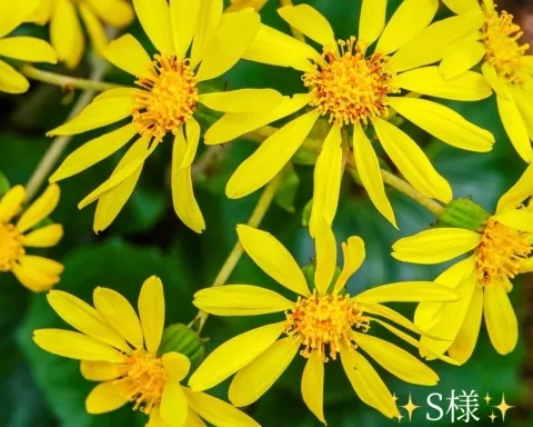 写メ日記 小山真帆 11/27(木) 18:16