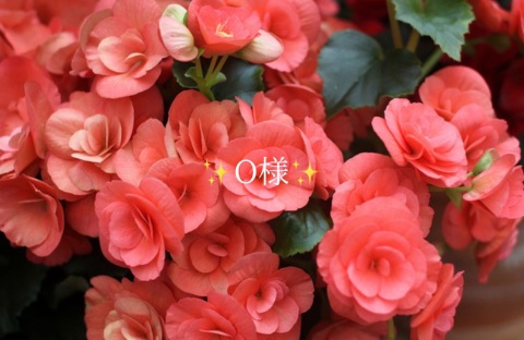 小山真帆 写メ日記 11/29(土) 19:52