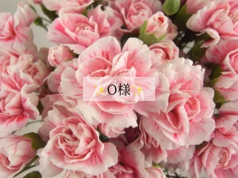 写メ日記 小山真帆 12/2(火) 20:30