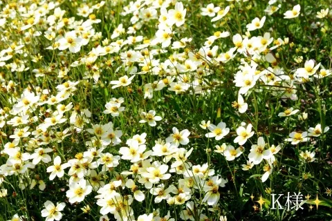 写メ日記 小山真帆 12/8(月) 18:38