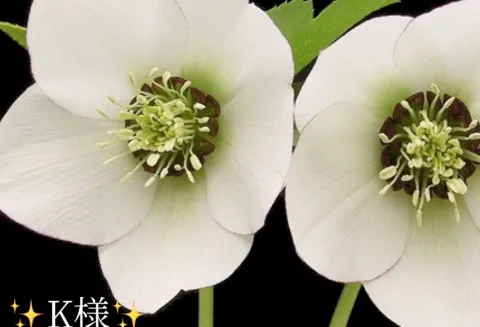 写メ日記 小山真帆 12/20(土) 07:56