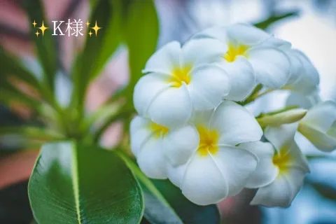 写メ日記 小山真帆 1/27(火) 21:16