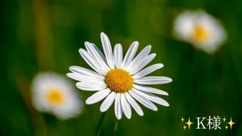 写メ日記 小山真帆 2/1(日) 21:20