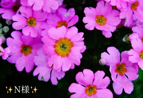 写メ日記 小山真帆 2/2(月) 11:34