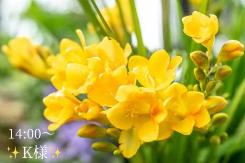 写メ日記 小山真帆 2/15(日) 08:10