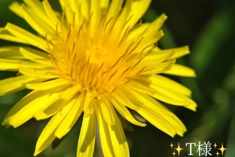 写メ日記 小山真帆 2/19(木) 10:04