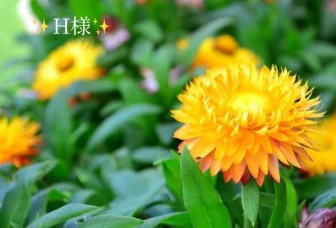 写メ日記 小山真帆 3/1(日) 07:32