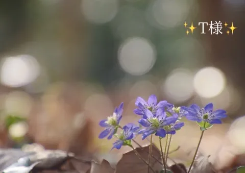 写メ日記 小山真帆 3/1(日) 16:46
