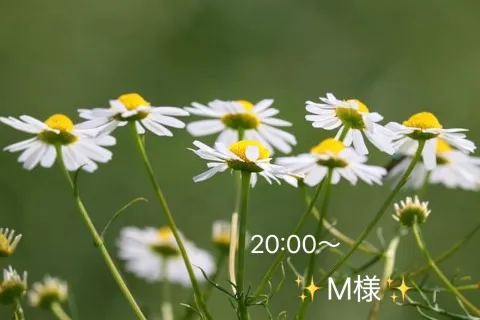 写メ日記 小山真帆 3/15(日) 22:08