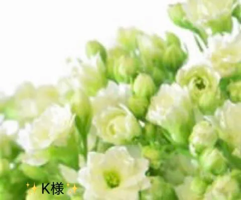 写メ日記 小山真帆 3/22(日) 14:00