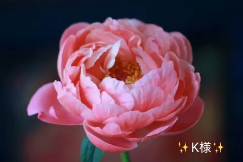 写メ日記 小山真帆 5/14(木) 18:12