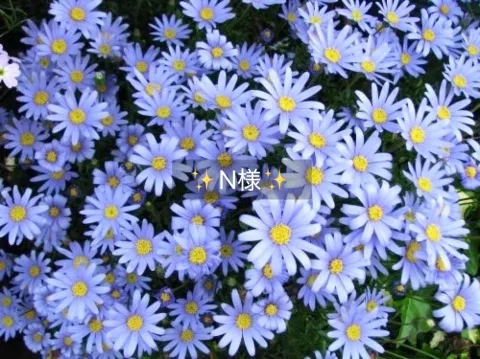 写メ日記 小山真帆 6/10(水) 19:54