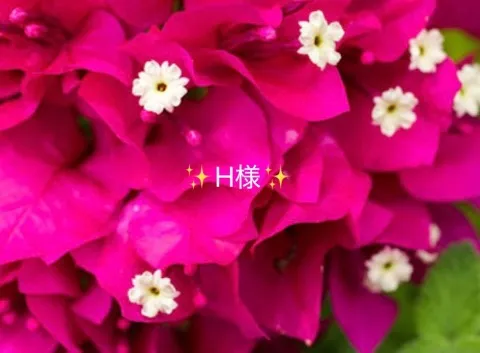 写メ日記 小山真帆 7/1(水) 21:23