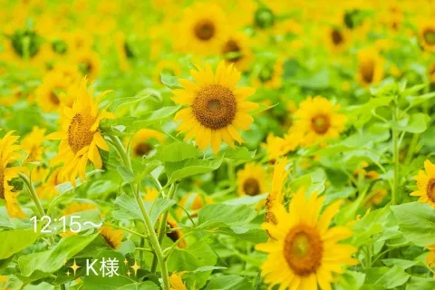 写メ日記 小山真帆 7/10(金) 12:56