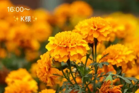 写メ日記 小山真帆 7/18(土) 23:58