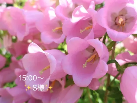 写メ日記 小山真帆 7/24(金) 18:40
