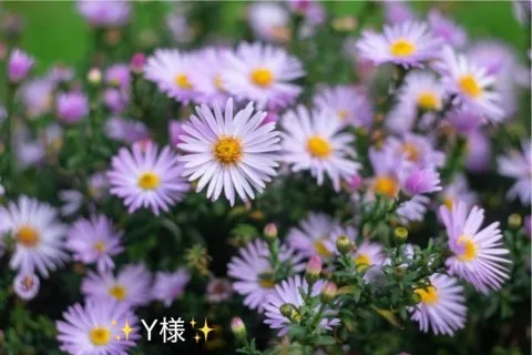 写メ日記 小山真帆 8/27(木) 18:16