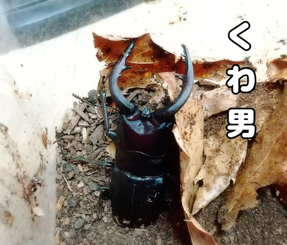 小田みち子 写メ日記 7/18(金) 07:34