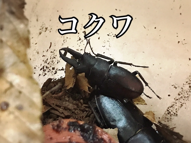 小田みち子 写メ日記 7/24(木) 06:58