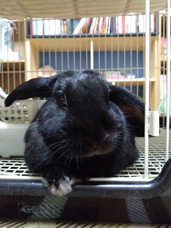 篠原尚美 写メ日記 10/12(日) 20:39