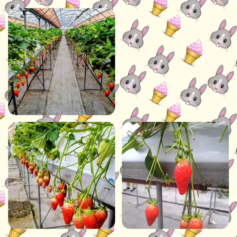 写メ日記 篠原尚美 2/25(水) 17:06