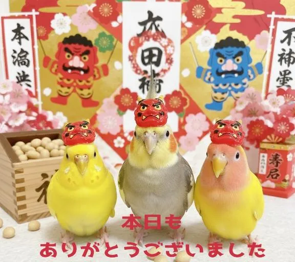 写メ日記 りんか 2/3(火) 21:02