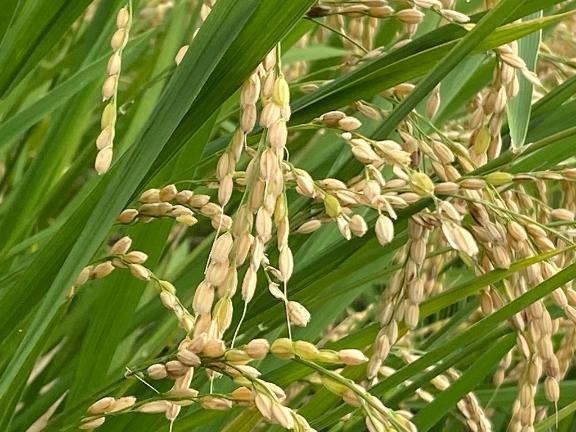 えま 写メ日記 10/7(火) 12:59