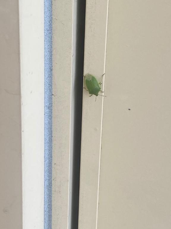 えま 写メ日記 10/15(水) 16:31