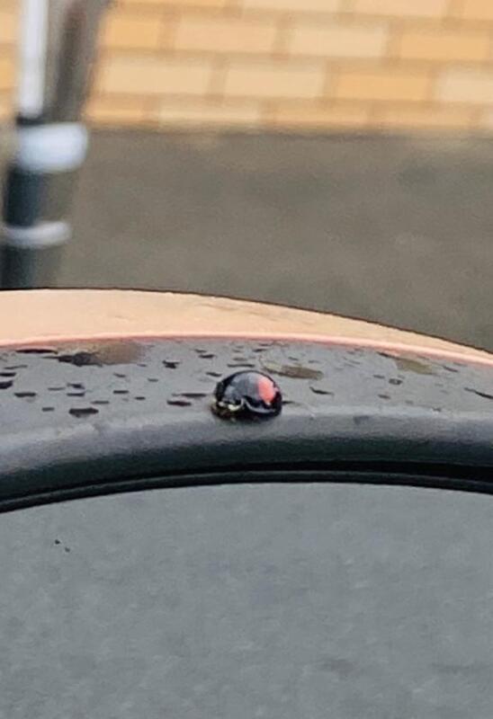 えま 写メ日記 10/16(木) 12:46