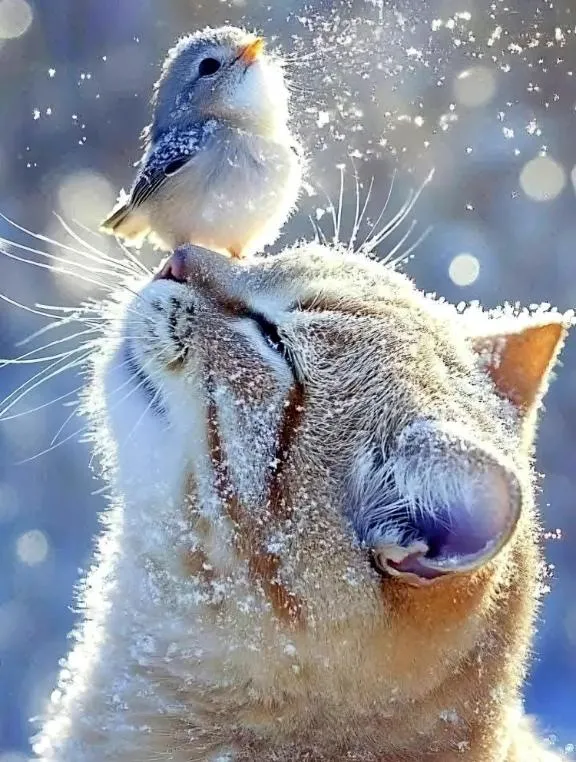 写メ日記 えま 11/17(月) 13:46