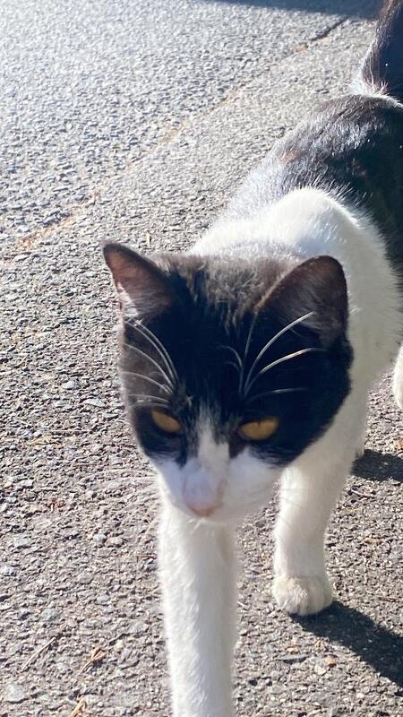 えま 写メ日記 11/23(日) 13:47